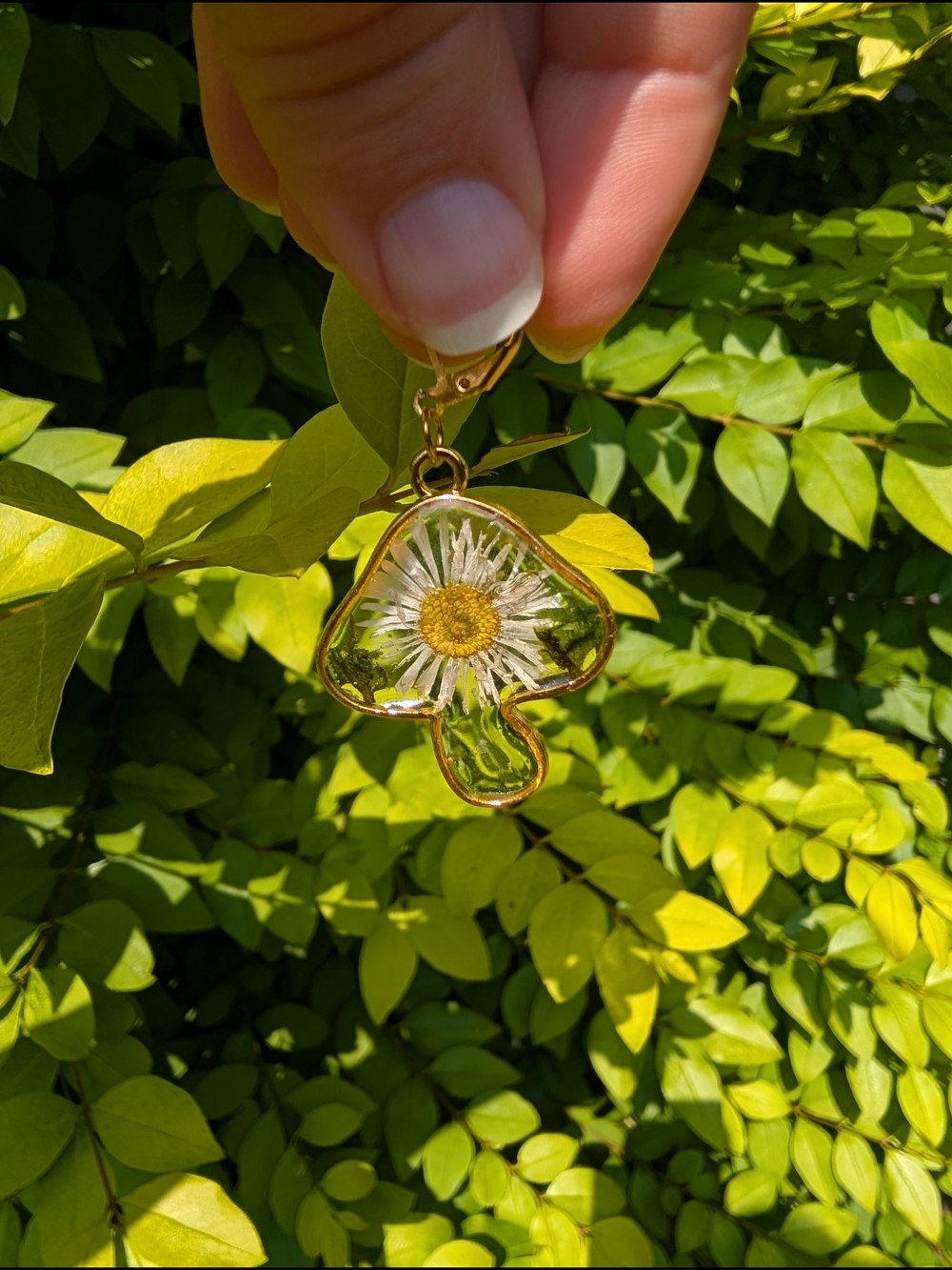 Gold-Trim Daisy Resin Drop Earrings - White & Yellow - Picture 2 of 2